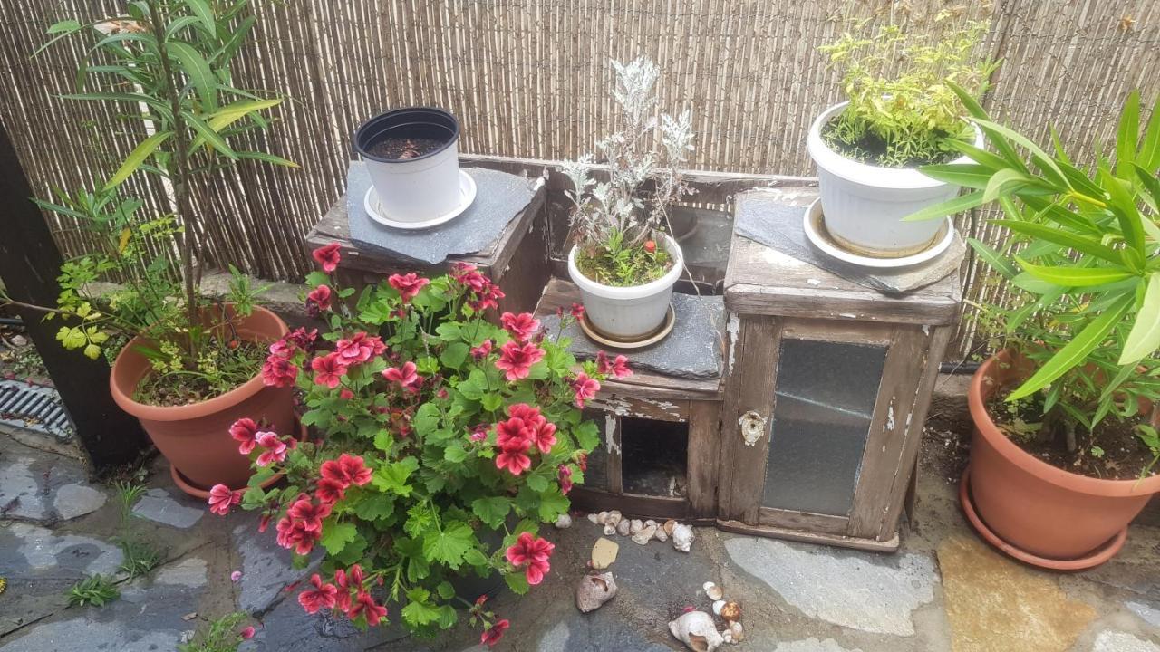 Guest House Antique Sozopol Exteriör bild
